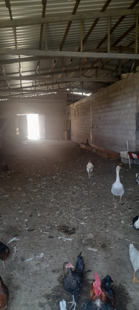 DOĞAL GÜZELLİKLERLE KAPLI BAŞARAKAVAK KÖYÜNDE YATIRIM FIRSATI